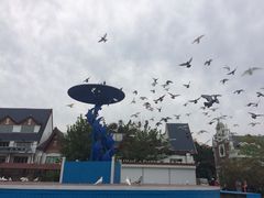 景点-鸽子窝公园