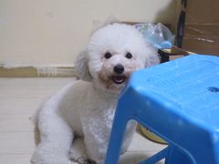 -佳雯宠物医院(四明中路分院)