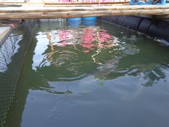 -海上驿站渔家菜馆