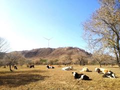 -塞罕坝国家级自然保护区