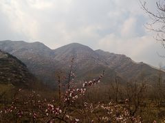 千层“雪”-宅院