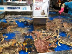 -盒马鲜生(莱蒙都会店)