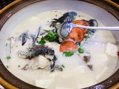 -全乐鱼馆·淳牌有机鱼直营店
