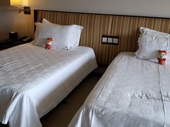 -惠州康帝国际酒店