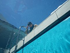 -金泽21世纪美术馆