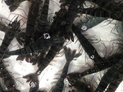 -霞涌市场海鲜摆卖区