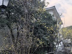 -虹迎轩·中餐厅(虹桥迎宾馆店)