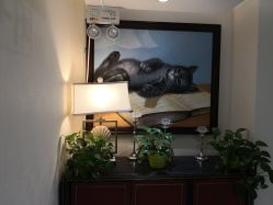 -咪咪比基尼脱毛专业店