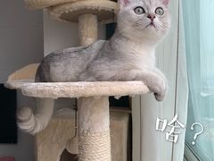 -联合动物医院(光谷诊疗中心)