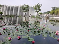 -中国宣纸文化园