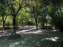 -常州淹城野生动物世界