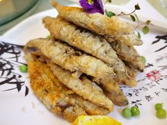 香煎多春鱼-香满楼(南关店)