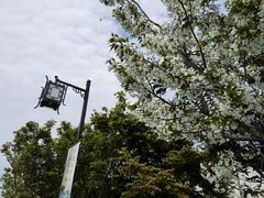 -树山生态村