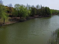 -江滩湿地公园