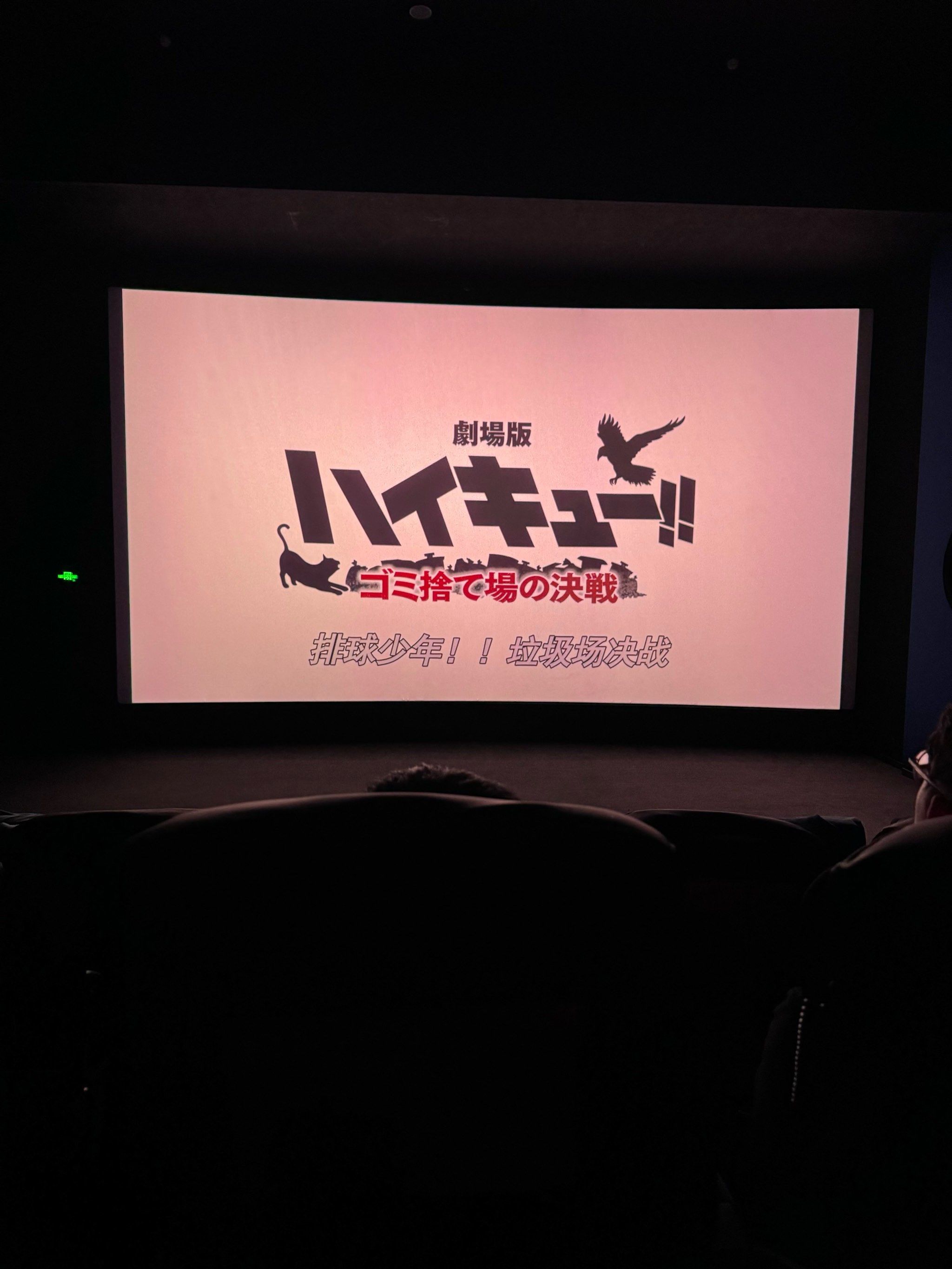 独自一人的电影院之旅