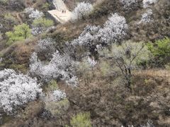 -蟠龙山长城景区