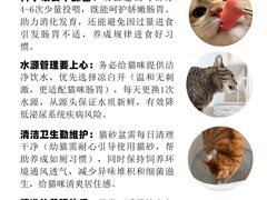 -申普宠物医院·心脏介入·心血管微创(总院)