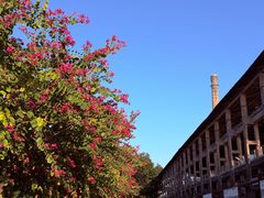 -广州市紫泥堂文化创意园景区