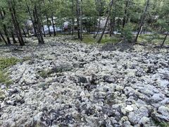 -莫尔道嘎国家森林公园