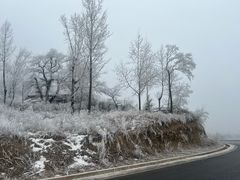 -王莽岭风景区