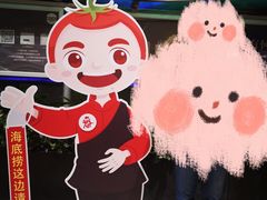 -海底捞火锅(龙岗星河COCO Park店)