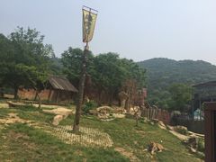 -无锡动物园·太湖欢乐园