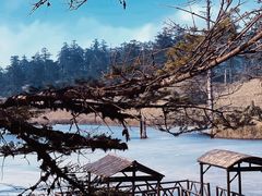 -瓦屋山景区