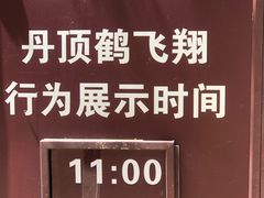 -沈阳森林动物园