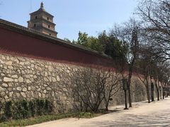 -大雁塔北广场音乐喷泉