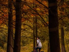 -南京市无想山景区