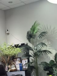 -LEILEI NAIL蕾蕾美甲美睫