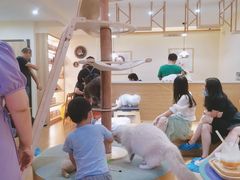 -滚猫咖啡·猫咖·猫友好撸猫(未来城店)