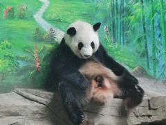 -灵玲国际马戏城