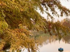 -浙江农林大学(东湖校区)