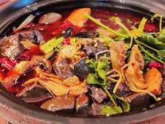 全家福血旺-马旺子酒楼