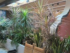 -多哥水傣味餐厅(司马巷店)