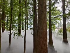 -东湖落雁景区