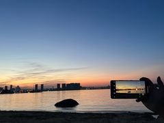 -瑶湖郊野森林公园