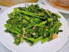 生炒芥兰苗-山泉公馆酒家(广州东站店)