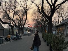 -北京国子监胡同