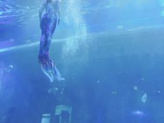 -华夏文旅西安度假区