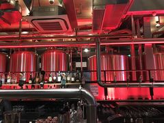 -Goose Island Brewhouse鹅岛精酿啤酒酿造工坊餐厅