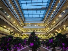 -南京禄口机场雅高铂尔曼大酒店