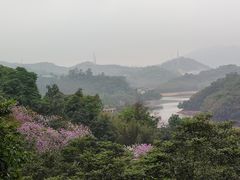 -天鹿湖森林公园