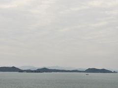 -杨梅坑