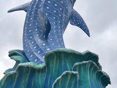 -珠海长隆海洋王国