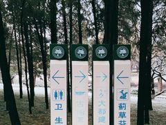 -元大都城垣遗址公园