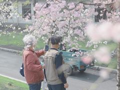 -堤角公园