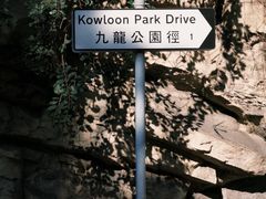 -九龙公园