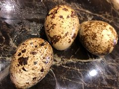 -水晶之星洗浴温泉汗蒸